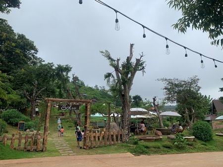 2-1656576460.jpg