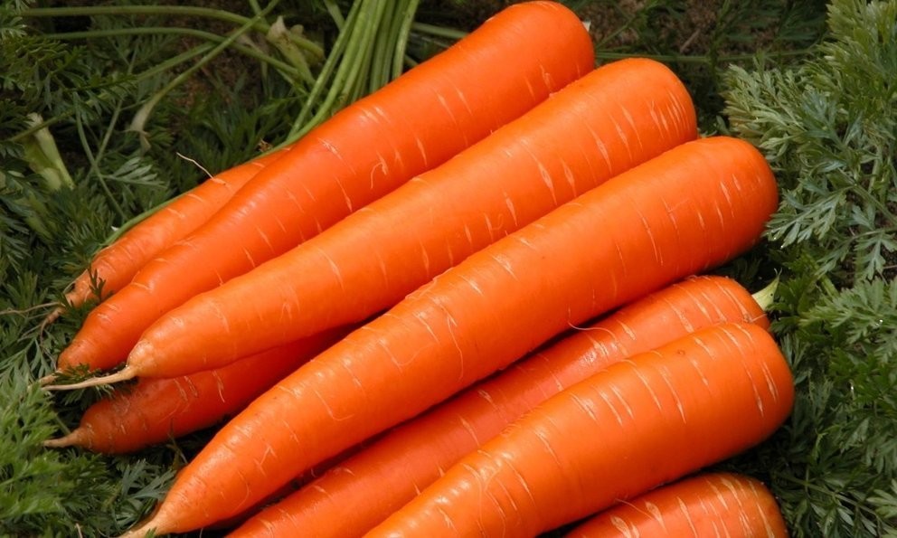 ca-rot-1659178737.jpg