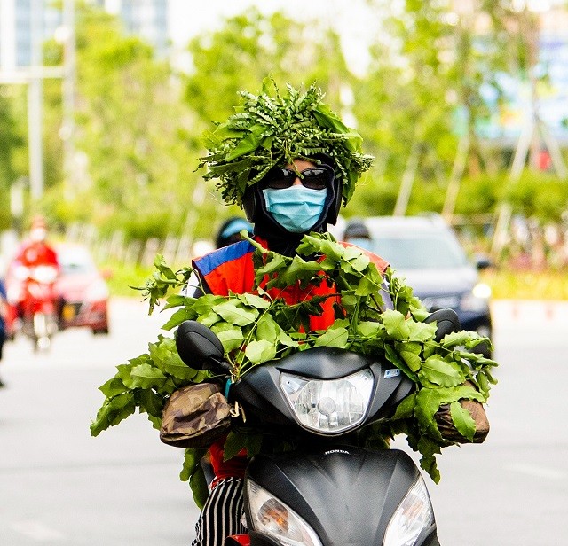 nong-1-1684584172.jpg
