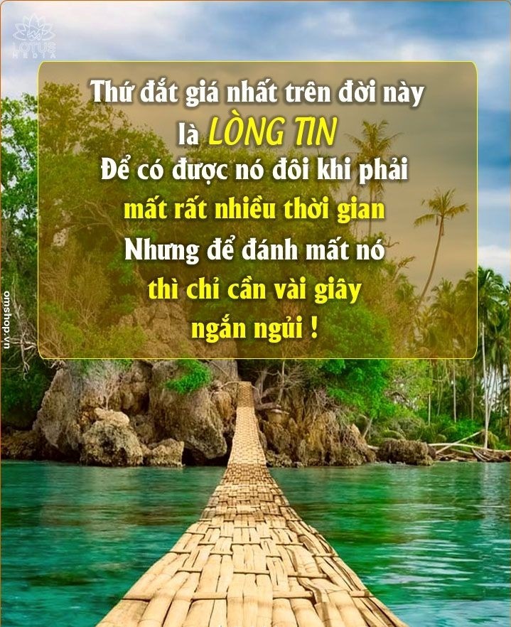 865a509a86ad4811f268b774db917ef8-1684913378.jpg