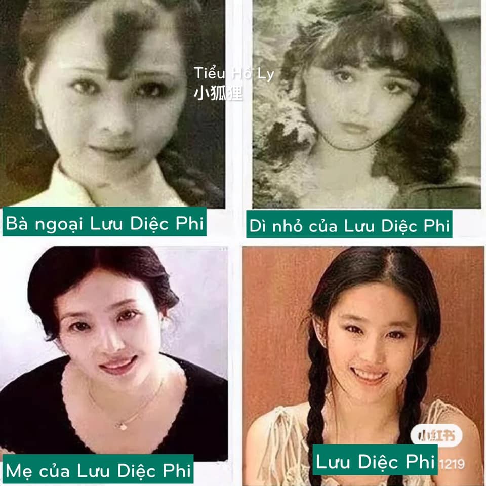 luu-diec-phi12-1684913864.jpg
