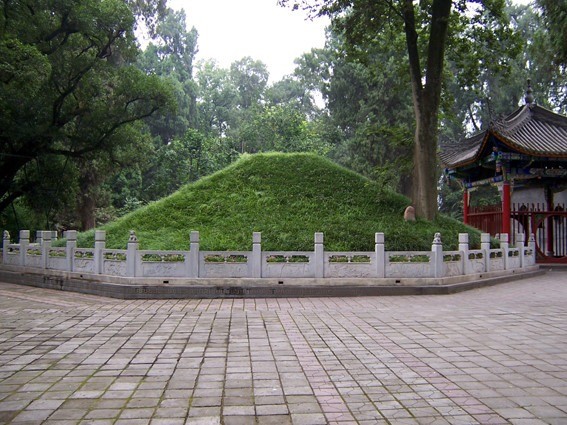 hien-tuong-la-trong-dam-tang-gia-cat-luong-2-1685355619.jpg