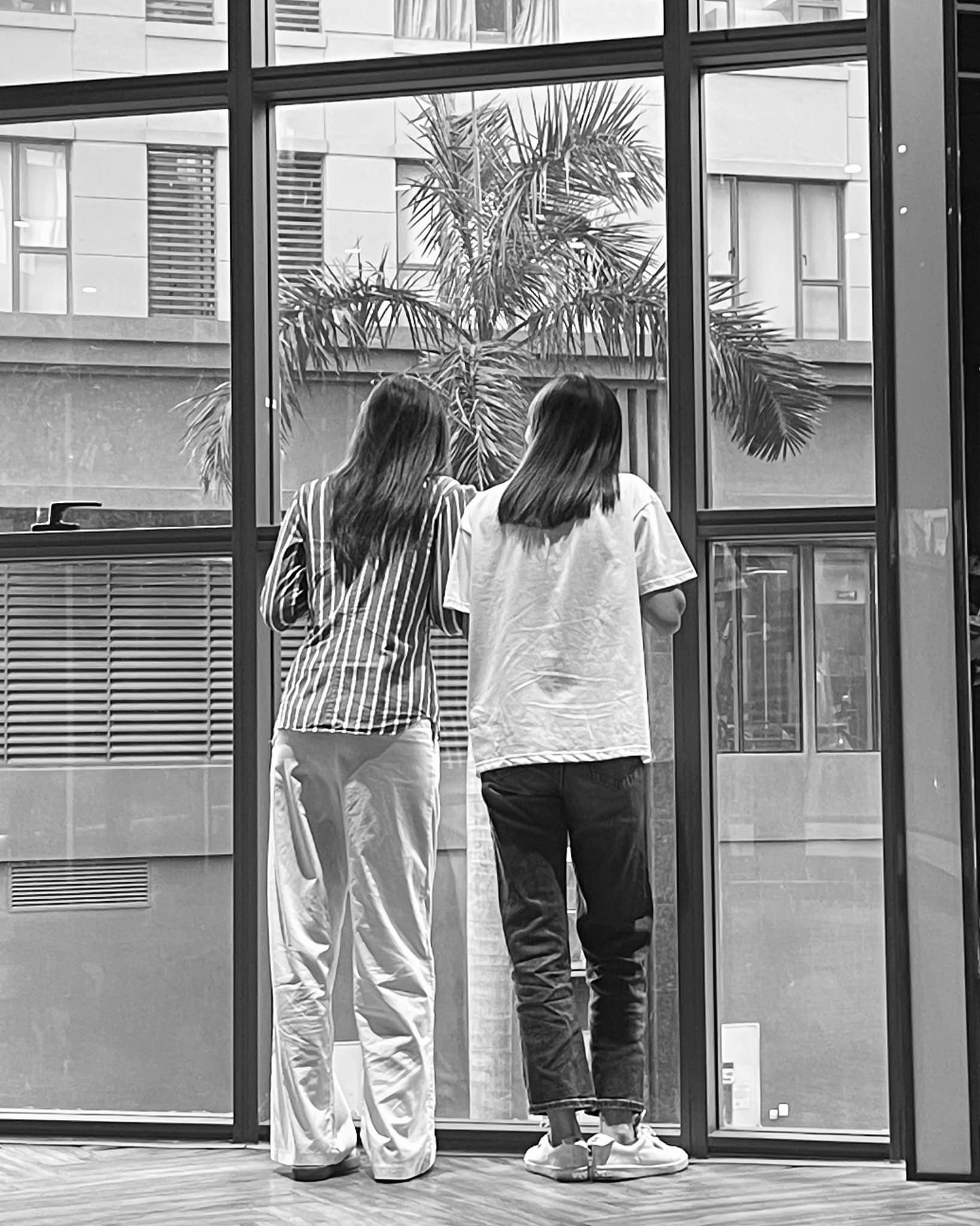 ky-duyen-benh-minh-trieu-2-1686038509.jpg