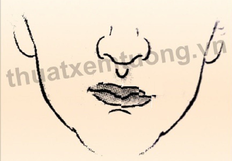 tuong-mui-giau-3-1686035697.jpg