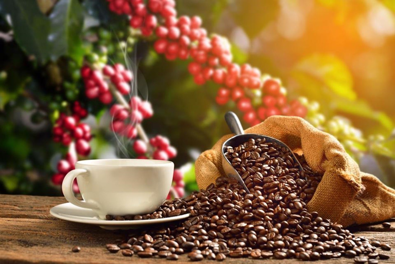 gia-cafe-1686494831.jpg