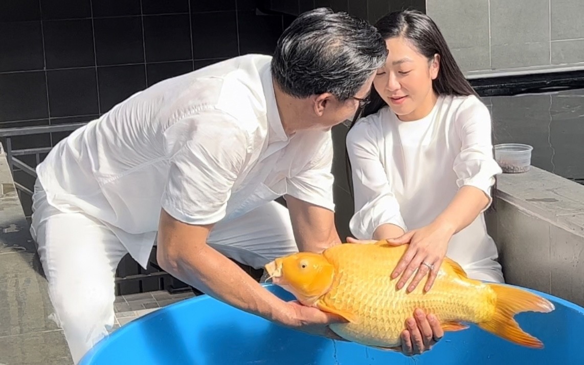vua-ca-koi-1686544978.jpg