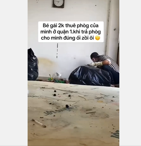 a-28-1687335667.PNG