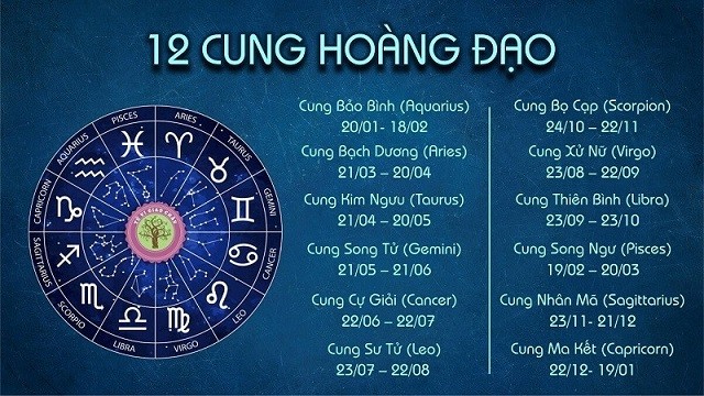 cung2-1687354651.jpg