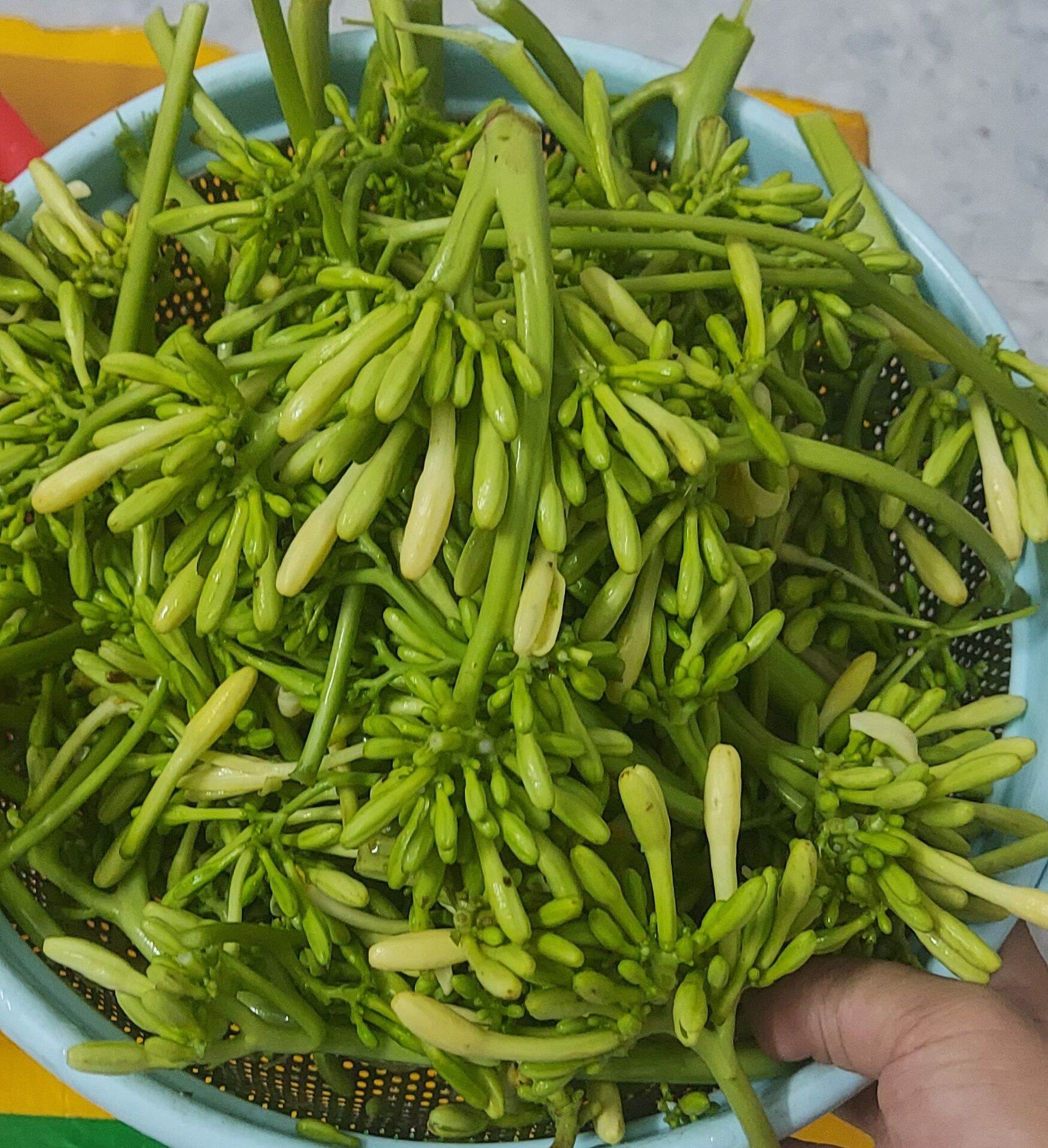 dieu-hoa-tuan-hoan-1-1687491560.jpg