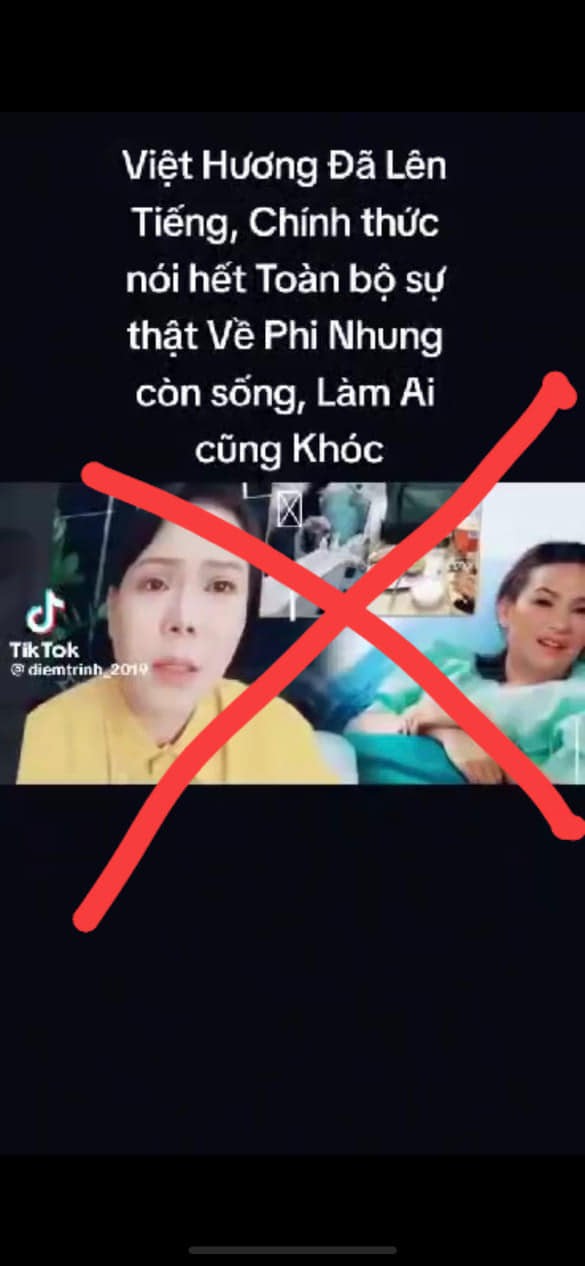 viet-huong-6-1687764148.jpg