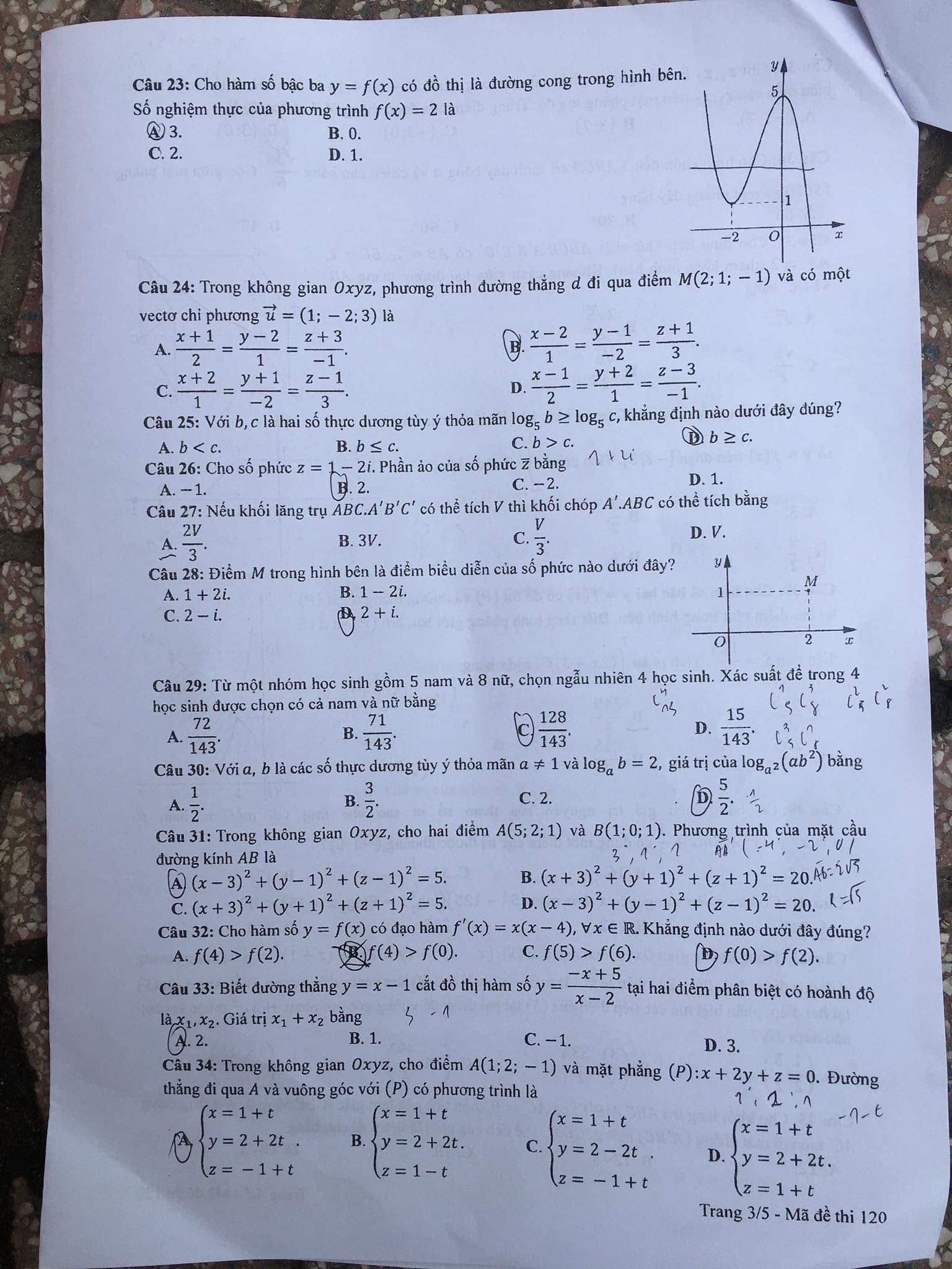 3-1687946140.jpg