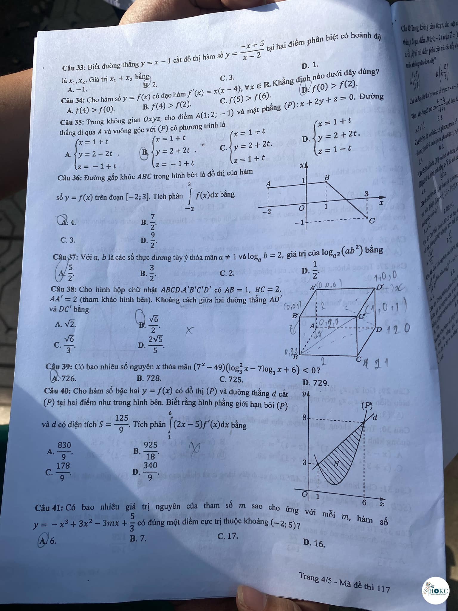 356883841-3207113052765827-6026304536162486770-n-1687945783.jpg