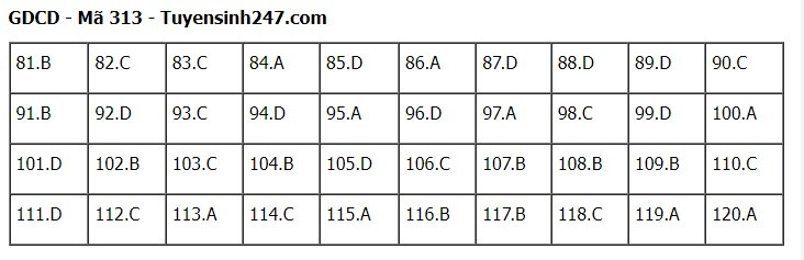 dap-an-313-1688017247.jpg