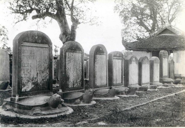 lexa2-1690119312.jpg