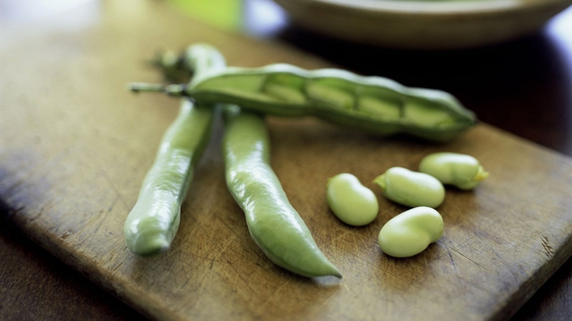 7-dau-fava-1690887281.jpg