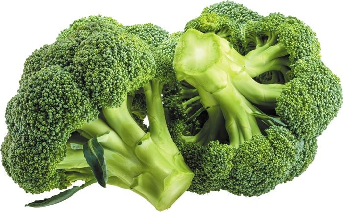 9-bong-cai-xanh-1690887316.jpg