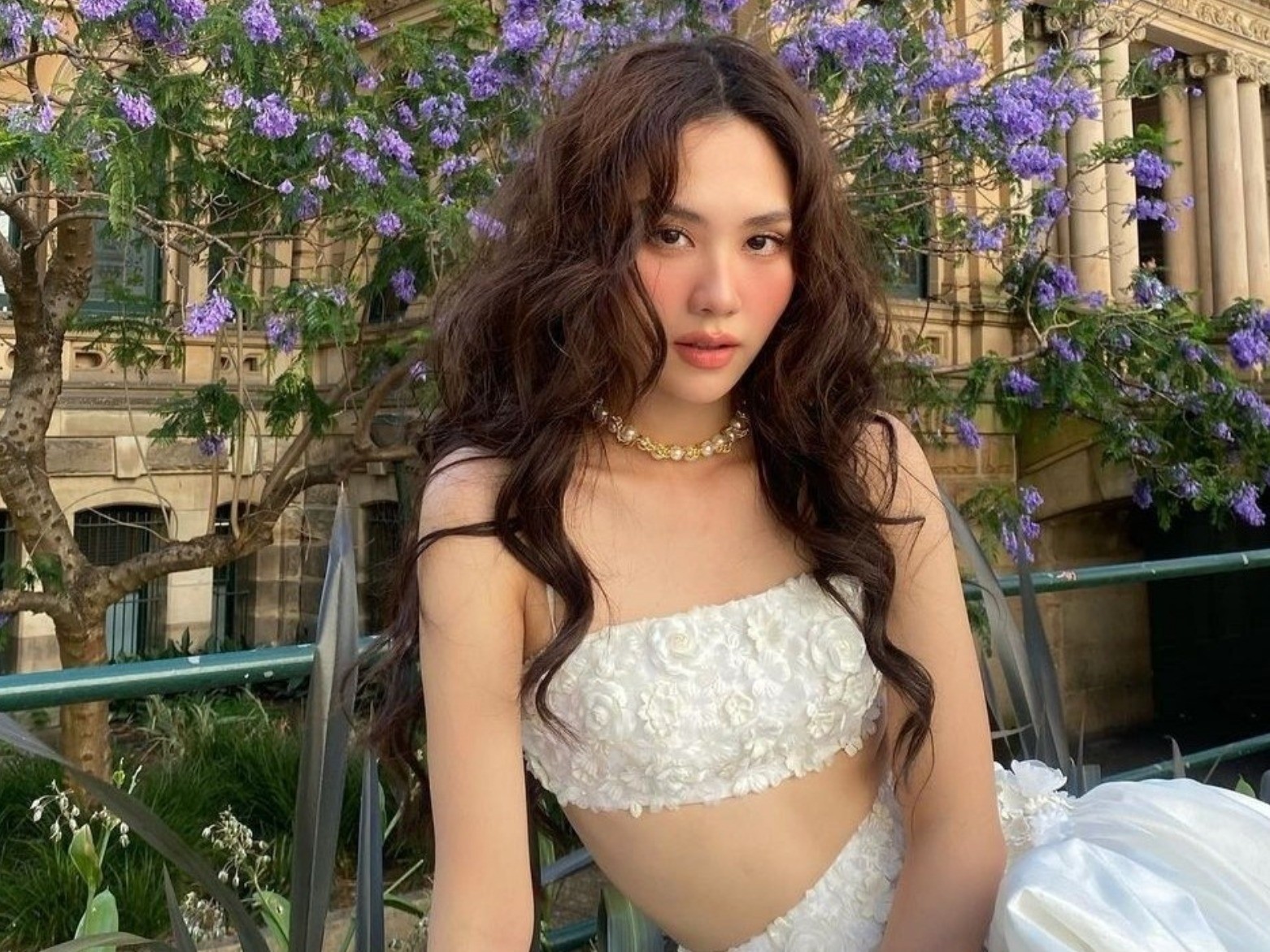 hoa-hau-mai-phuong-1691466413.jpg