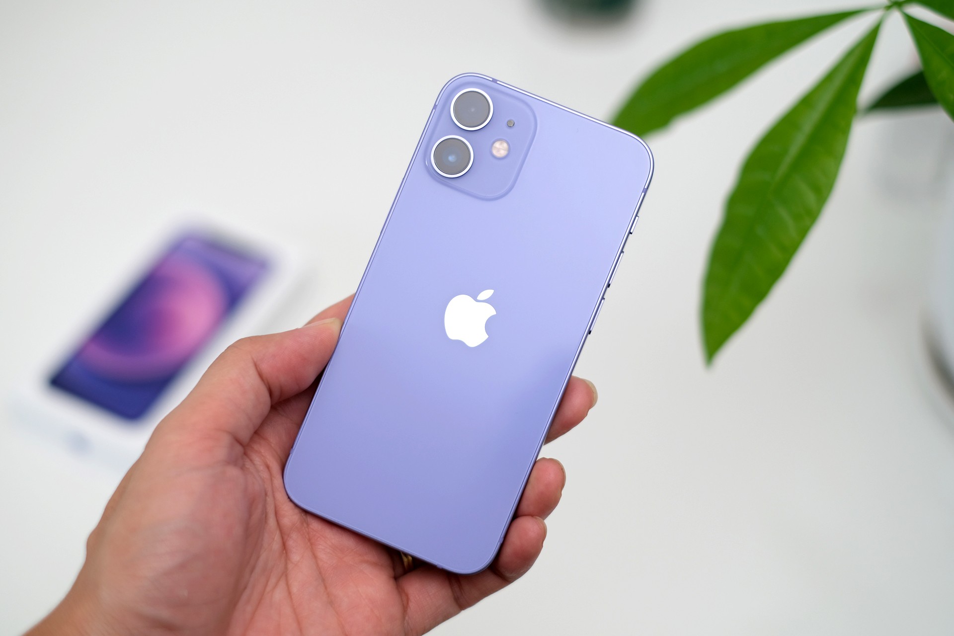 iphone-5-1693294128.jpg