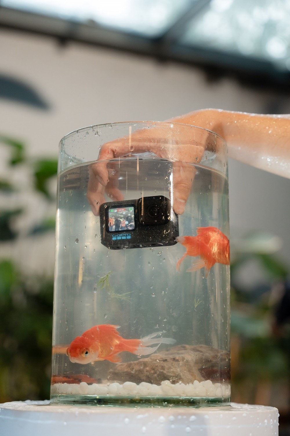 go-pro-1-1694246996.JPG