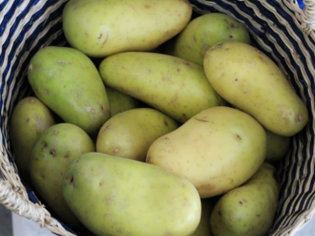 2-loai-cu-qua-khong-an-khi-co-mau-xanh-2-1694576110.jpg