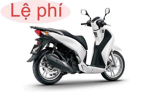 chiphi20231004084141-1696390123.jpg