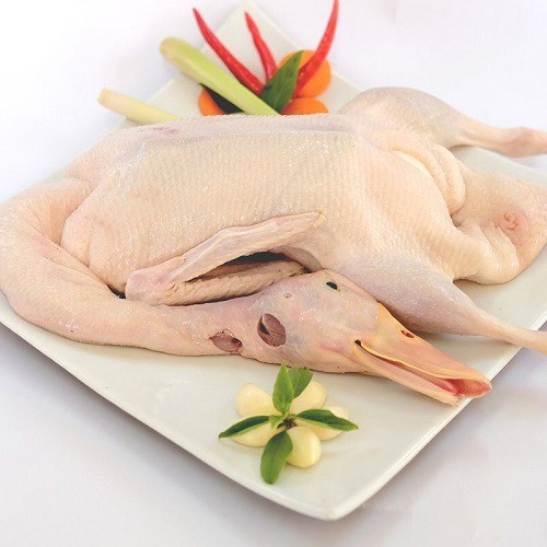 bo-phan-ban-nhat-cua-con-vit-3-1696845776.jpg