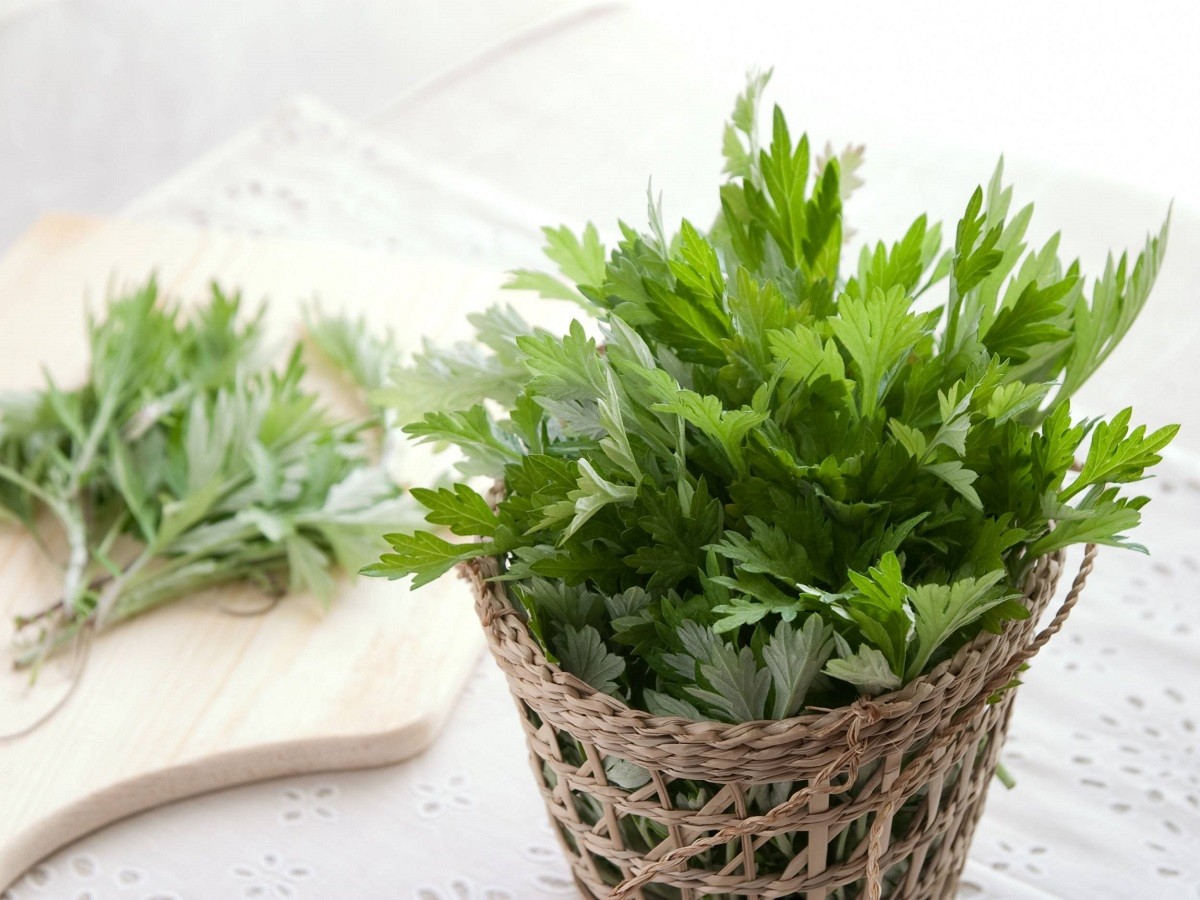 naturapotheke-buchart-beifuss-9397-7507-1617683565-1697450156.jpg