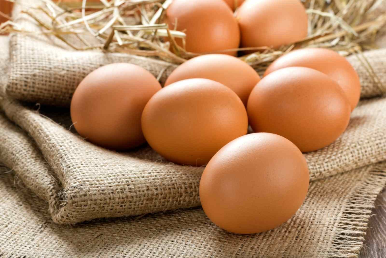 1e221266-shutterstock-113786020-1-1697620386.jpg