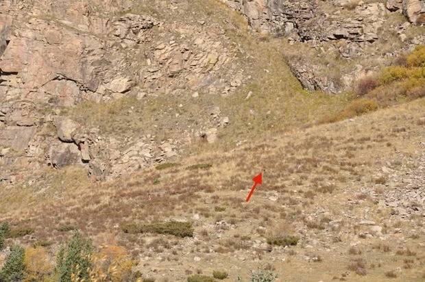 qiau-vat-1-1698031343.jpg