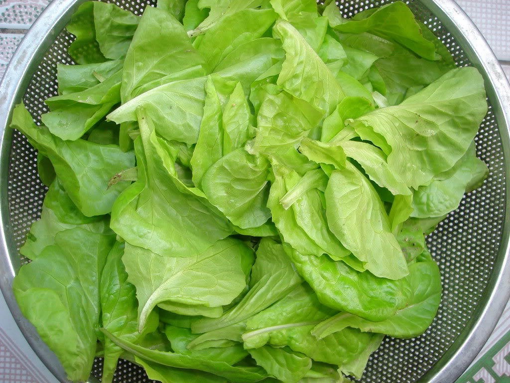cach-lam-pho-cuon-03-1698834826.jpg