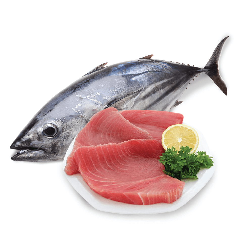 5c4aa4df3e3bb527deda098b245df4b5-1699592333.png