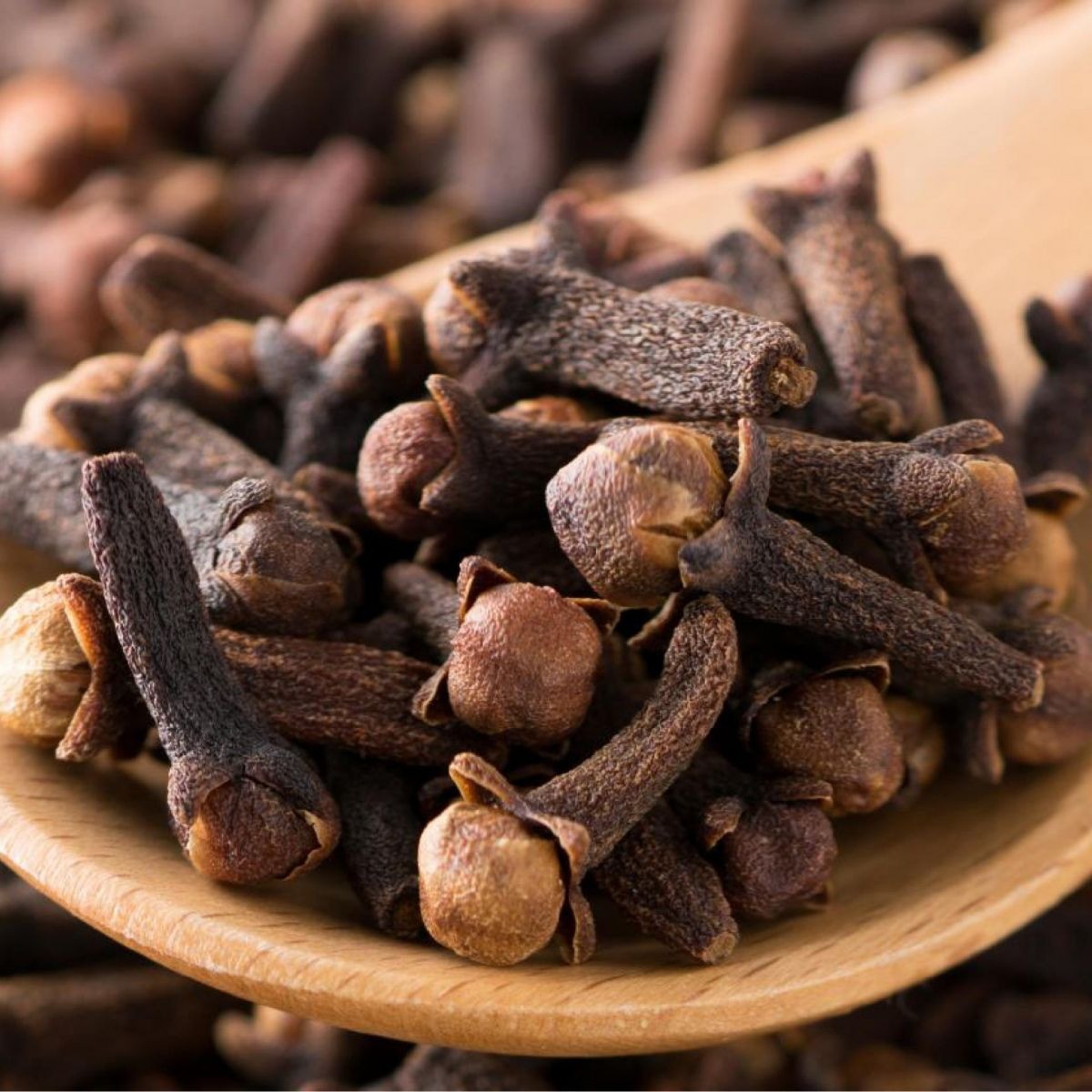 download-81-1700473626.jpg