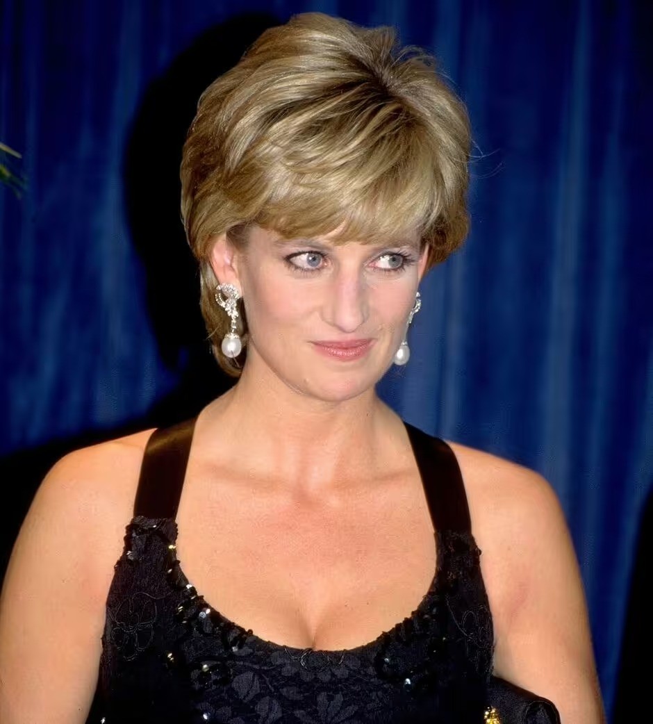 cong-nuong-diana-3-1701317723.jpg