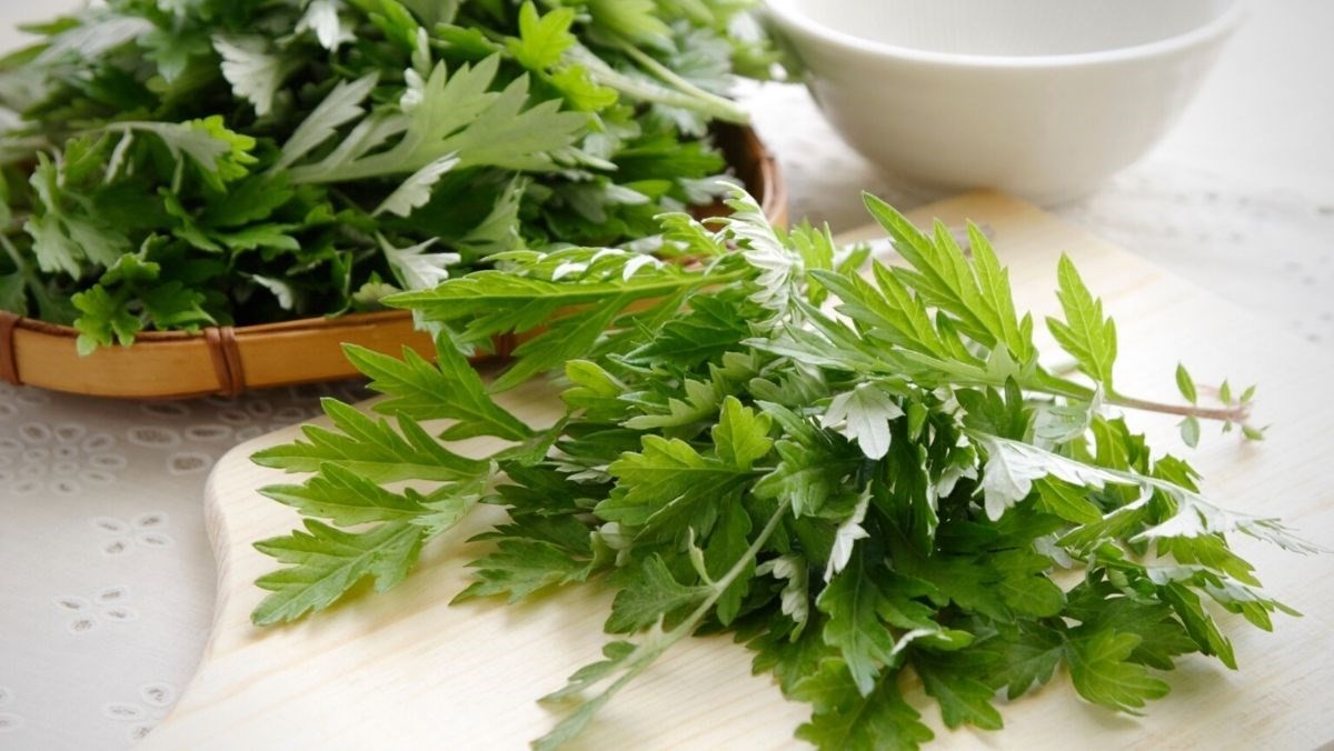 cach-lam-oc-heo-oc-lon-ham-ngai-cuu-dinh-duong-cho-gia-dinh-avt-1200x676-1701680457.jpg