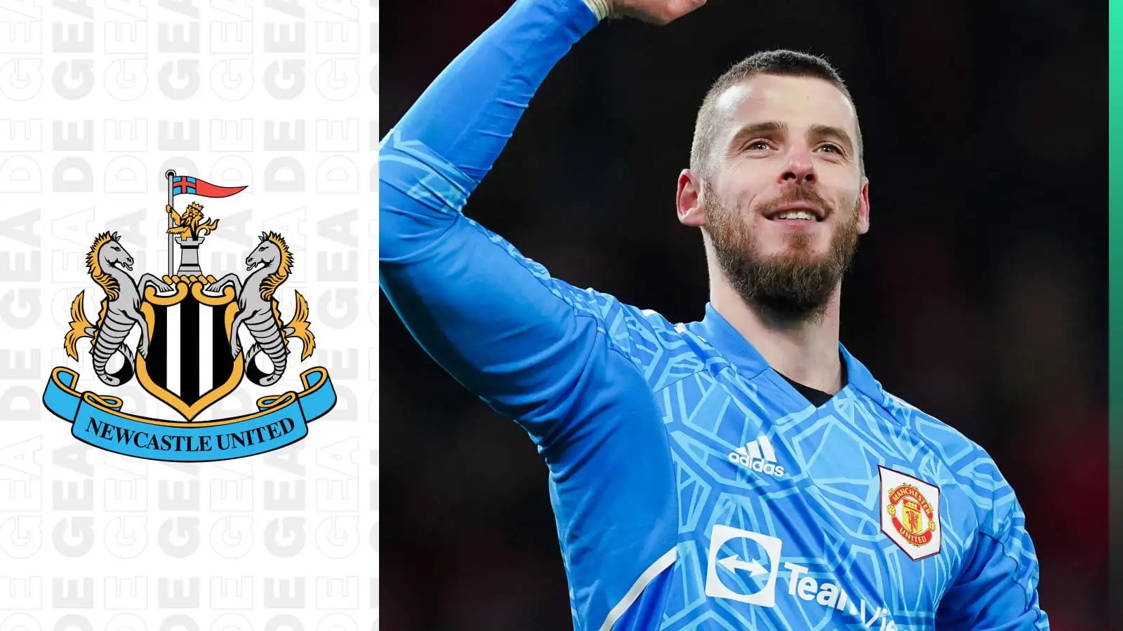 de-gea-newcastle-1703669289.jpg