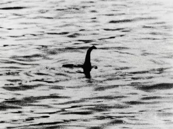quai-vat-loch-ness-2-1704340408.jpg