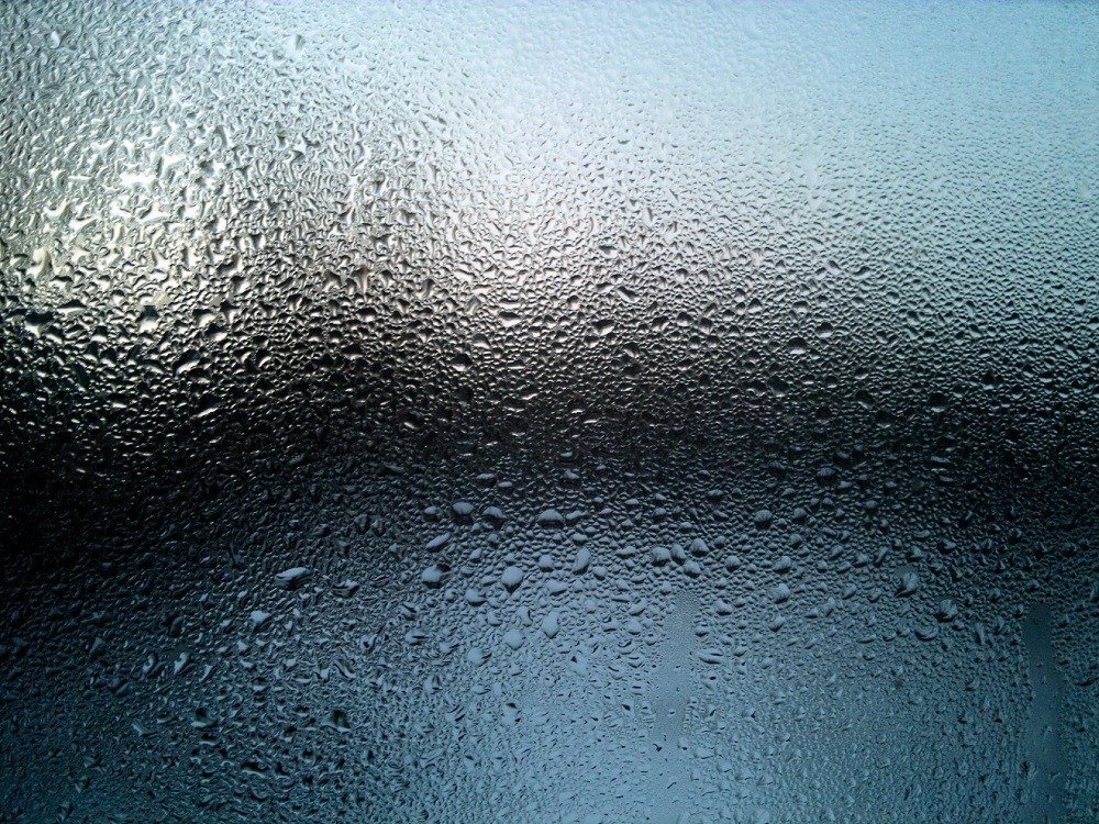 ntdvn-pexels-aleksandr-slobodianyk-989941-1705054781.jpeg