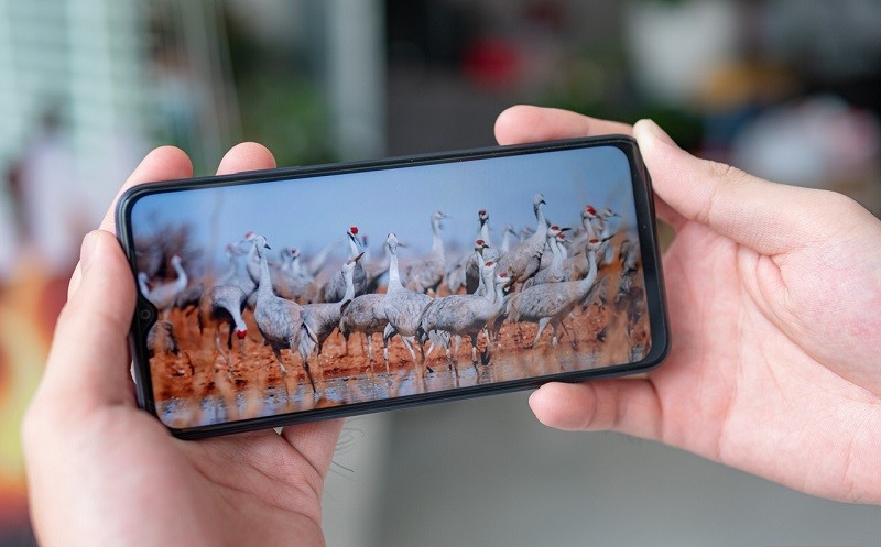 oppo-8-1708170141.jpg