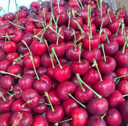 qua-cherry-1-1793072697.png