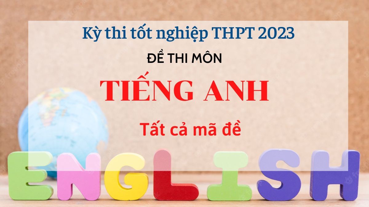 4-1688025366.jpg
