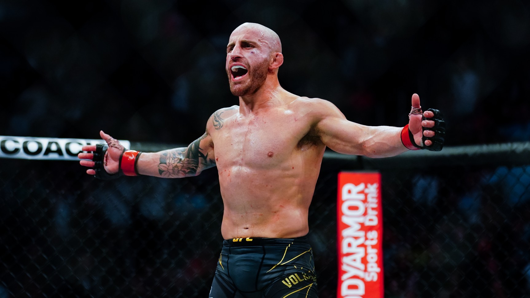 alex-volkanovski-1ovn1fmav7df415263jh9og1p0-1688621526-1688630564.jpg