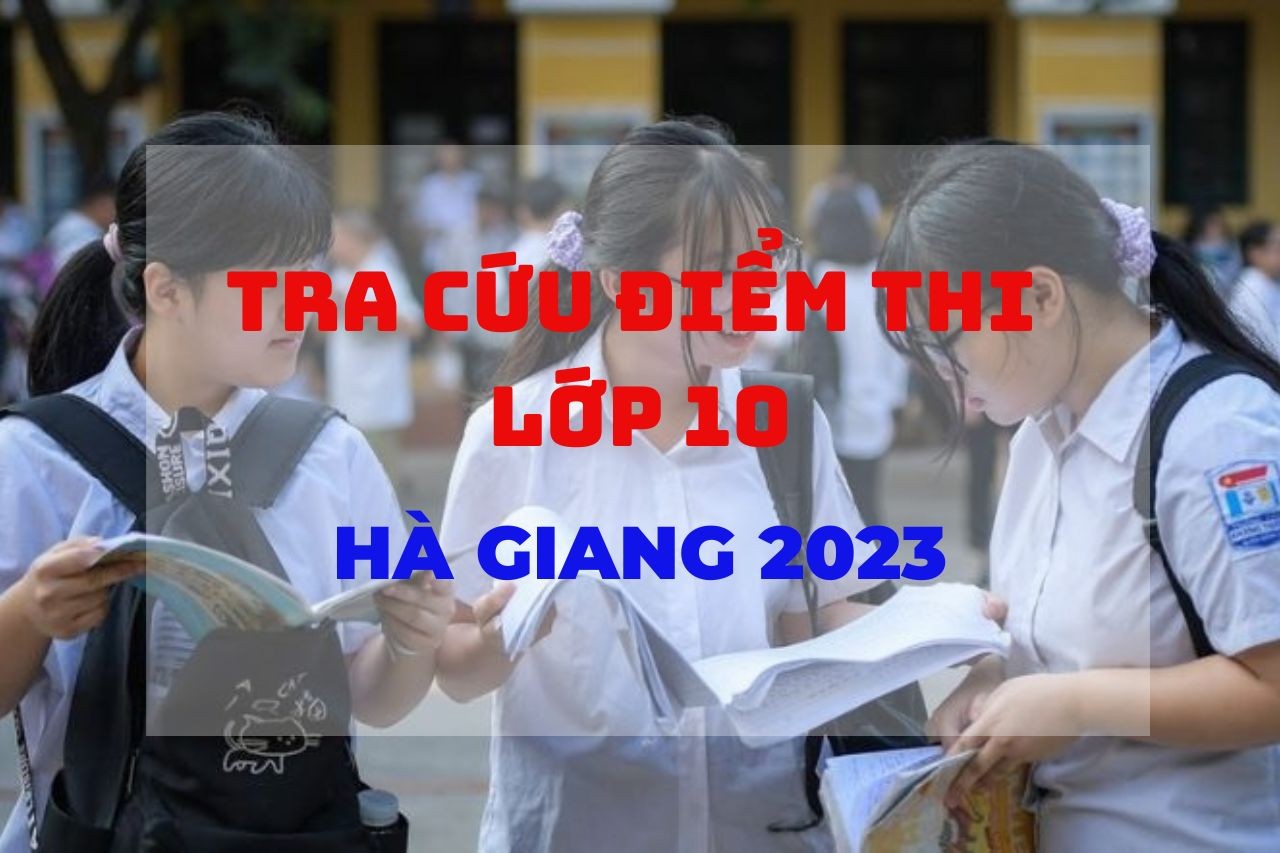 tra-cuu-diem-thi-lop-10-tphcm-2023-2-1686648429.jpg