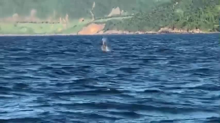355236185-804734387686690-3650427358778857017-n-1687420321.mp4