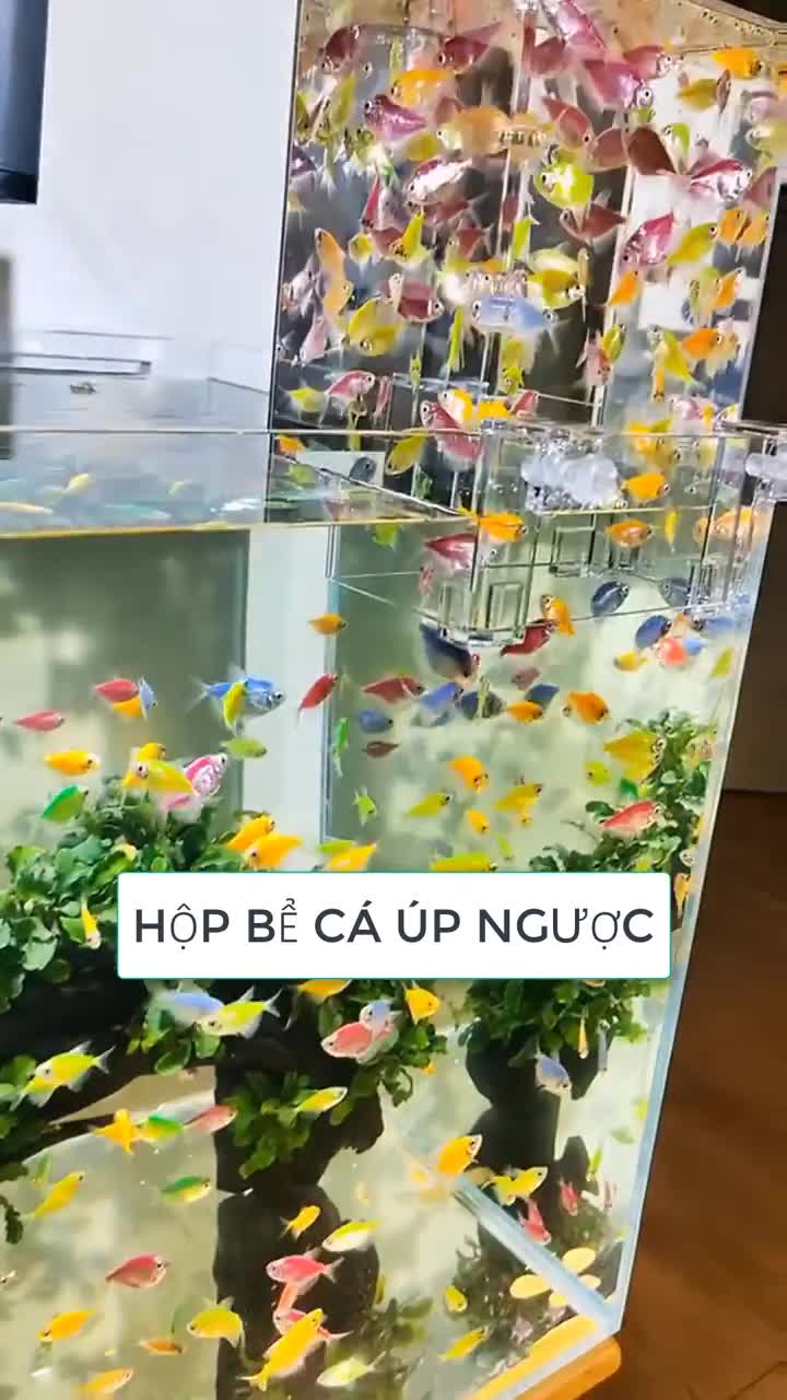 be-ca-vo-cuc-1681197031.mp4