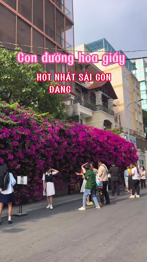 con-duong-hoa-giay-dep-nhat-sai-gon-dang-vao-mua-no-ro-nhat-trong-nam-1680853109.mp4