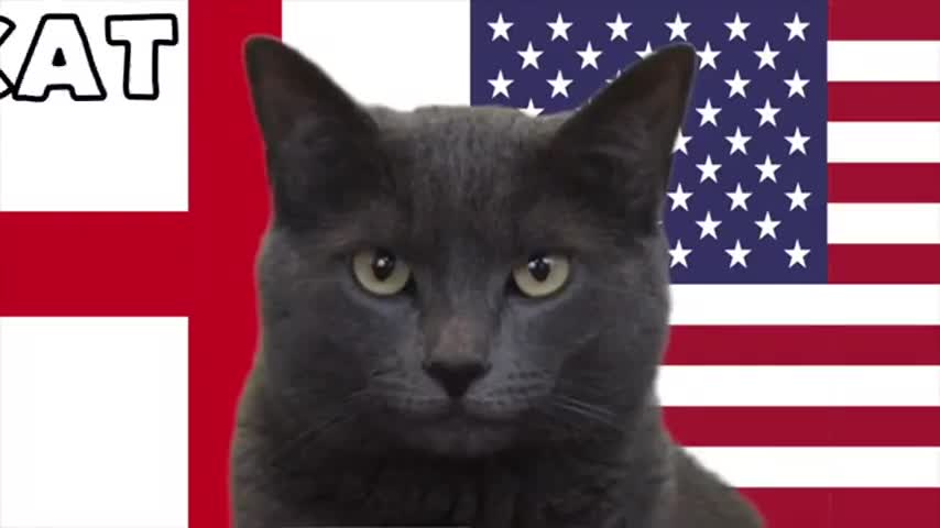 du-doan-bong-da-world-cup-2022-ti-so-tran-anh-vs-my-voi-tien-tri-meo-480p-1669360057.mp4