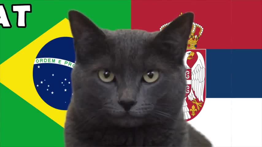 du-doan-world-cup-2022-ti-so-tran-brazil-vs-serbia-voi-tien-tri-meo-1-480p-1669281858.mp4