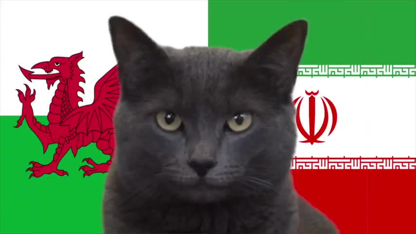 du-doan-world-cup-2022-ti-so-tran-xu-wales-vs-iran-voi-tien-tri-meo-2-480p-1669359659.mp4