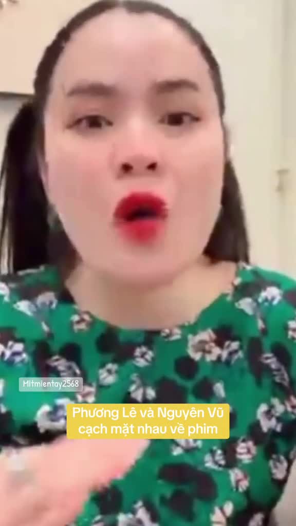 hoa-hau-phuong-le-va-nguyen-vu-khau-chien-vi-chuyen-lam-cho-con-gai-vu-linh-1700023034.mp4
