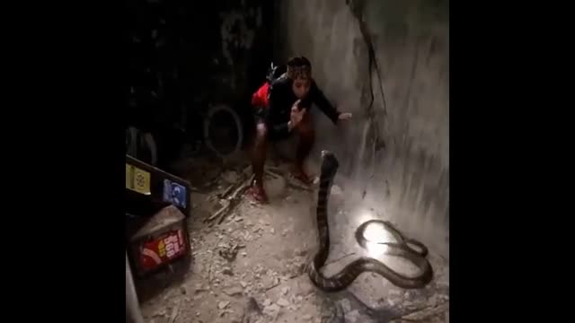 ran-360p-1636605224.mp4